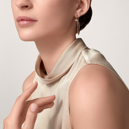 [Amore Jewels]JUSTE HALF DIAMOND LARGE EARRINGS